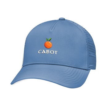 Cabot Citrus Valin - Light Blue